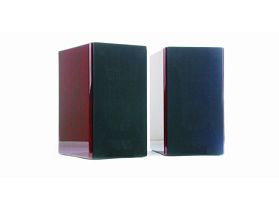NAS-8507 IP有源音箱